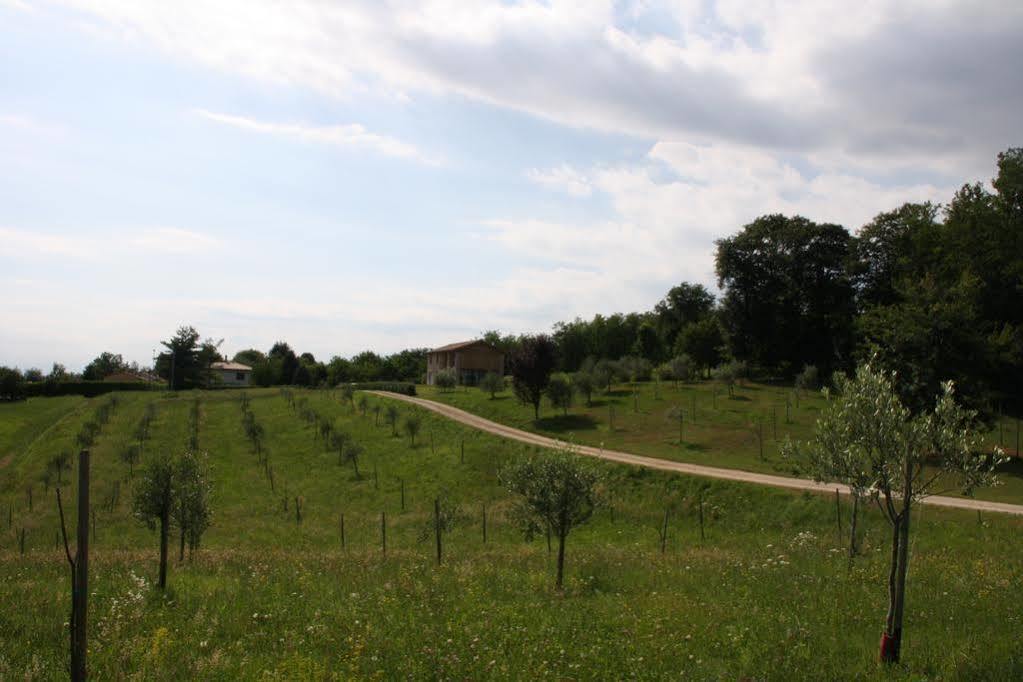 Agriturismo Da Merlo Trivignano Exteriér fotografie